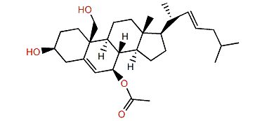 Erectasteroid D